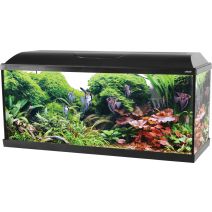 Kit aquarium iseo tout équipé L 101 x p 31 x h 47,5 cm 106L noir